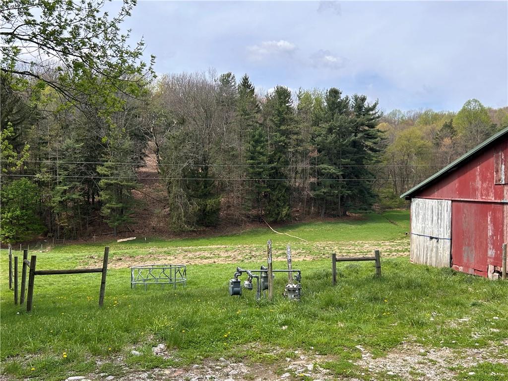 3940-3953 Groft Road Home, PA 15747 - Photo 14 of 20 a view of backyard with green space