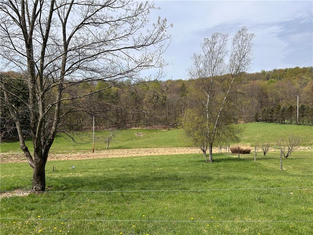 3940-3953 Groft Road Home, PA 15747 - Photo 16 of 21 Yard on barn side of road - former site of 3953 Groft Road