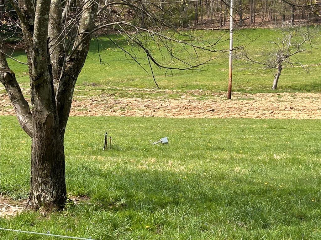 3940-3953 Groft Road Home, PA 15747 - Photo 17 of 21 Yard on barn side of road - former site of 3953 Groft Road