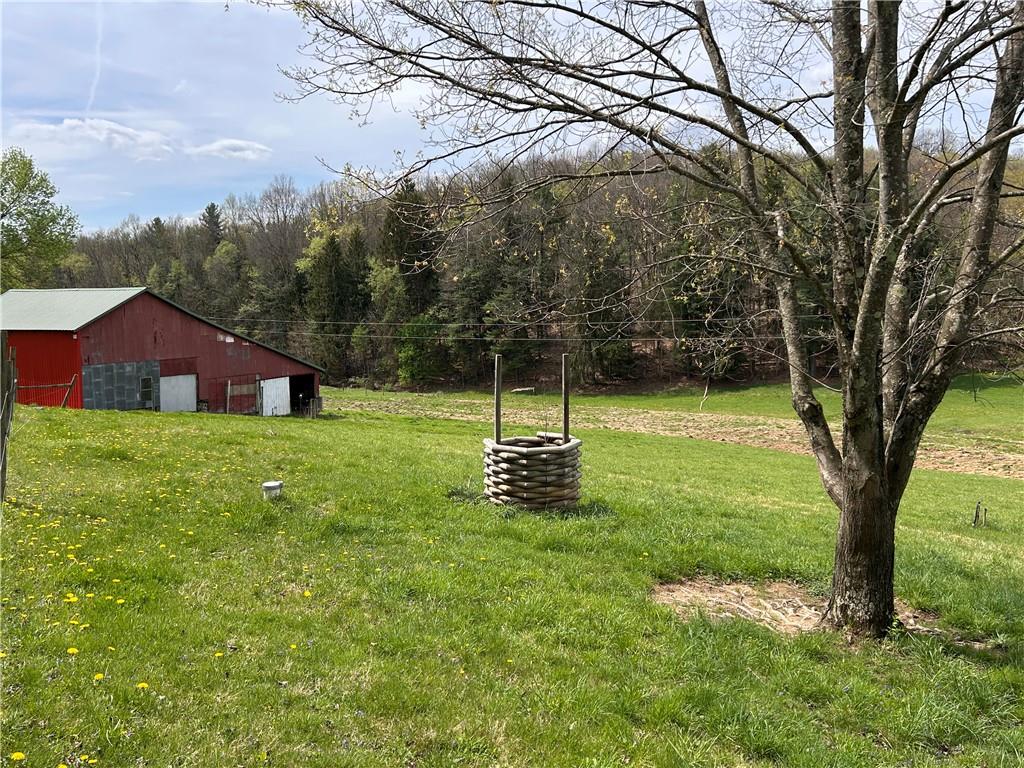 3940-3953 Groft Road Home, PA 15747 - Photo 18 of 21 Yard on barn side of road - former site of 3953 Groft Road