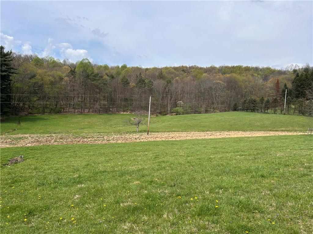 3940-3953 Groft Road Home, PA 15747 - Photo 18 of 20 a view of a field with a big yard