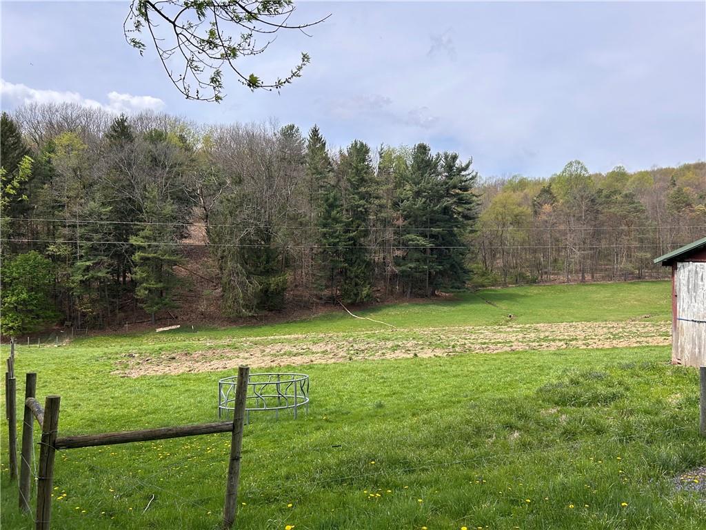 3940-3953 Groft Road Home, PA 15747 - Photo 19 of 20 a view of a big yard with a tree