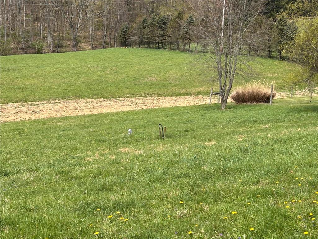 3940-3953 Groft Road Home, PA 15747 - Photo 20 of 20 a view of a field with an ocean