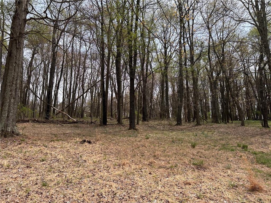 3940-3953 Groft Road Home, PA 15747 - Photo 6 of 21 Yard on garage side of road - former site of 3940 Groft Road