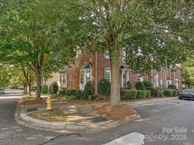 a view of road with large trees