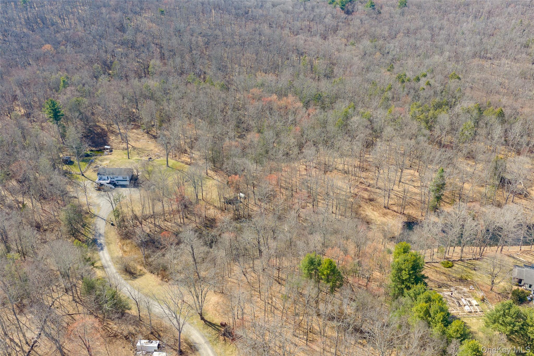 279 Milewood Road Millbrook, NY 12545 - Photo 23 of 33 a view of a dry yard
