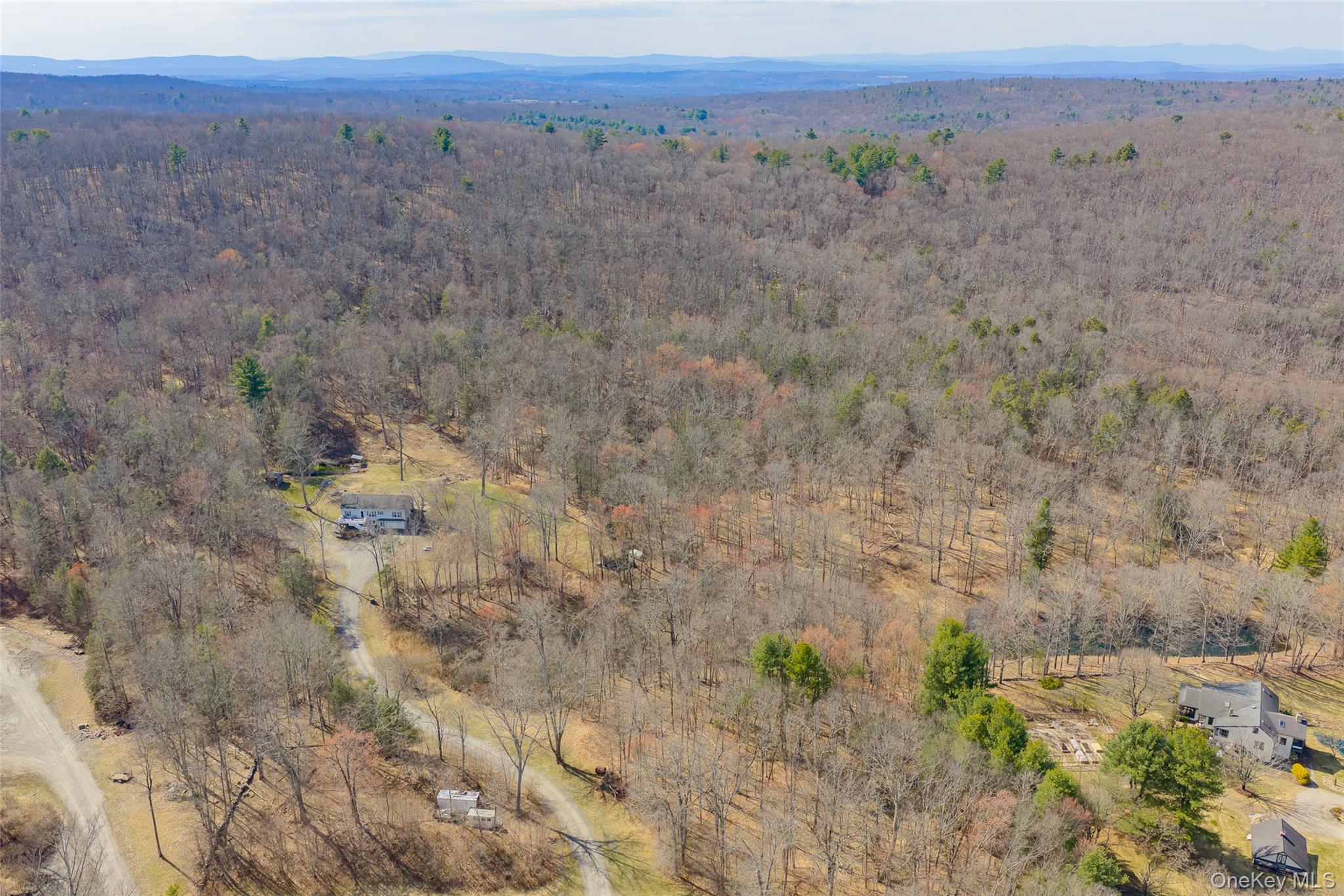 279 Milewood Road Millbrook, NY 12545 - Photo 24 of 33 a view of a dry field with trees in the background