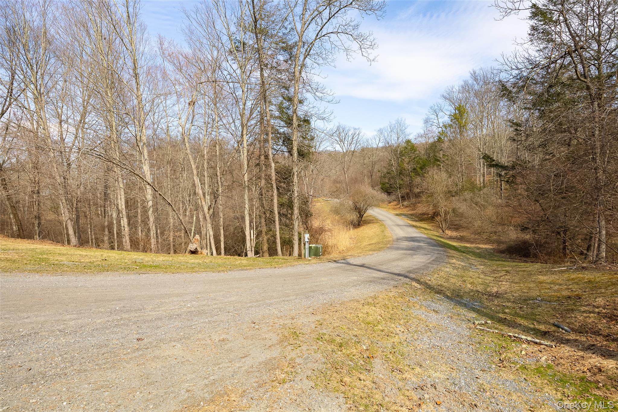 279 Milewood Road Millbrook, NY 12545 - Photo 27 of 33 a view of yard with large trees