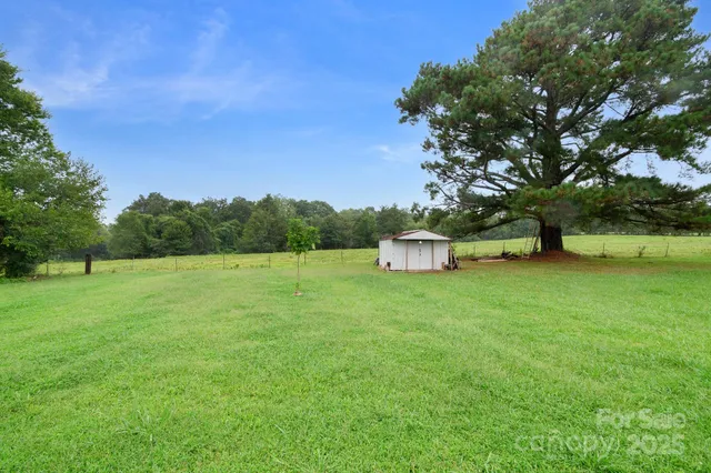 a green field with lots of tress in it