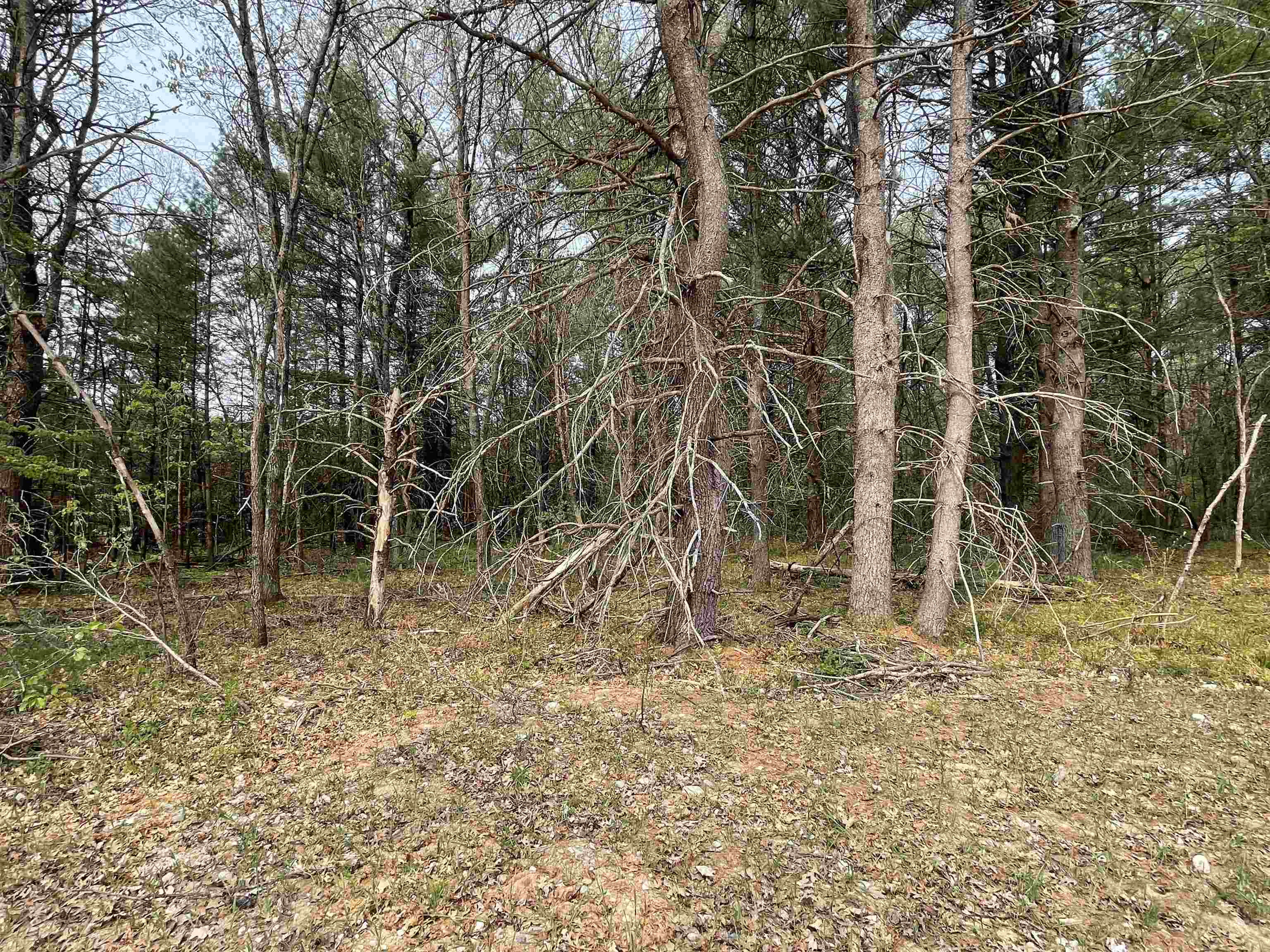 8433 South Grayling Road Roscommon, MI 48653 - Photo 10 of 21 1911302-9.JPG
