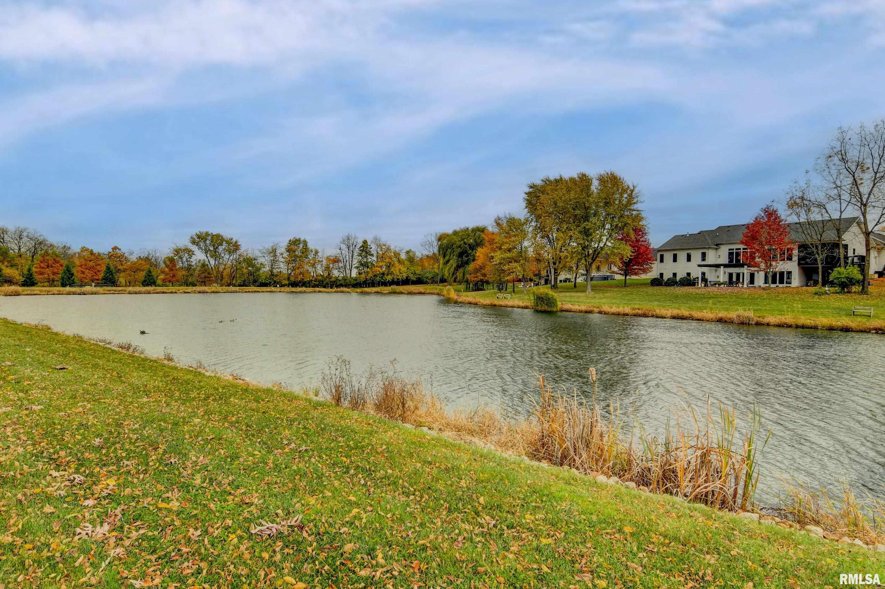 1625 Appalachian Trail Rochester, IL 62563 - Photo 54 of 59