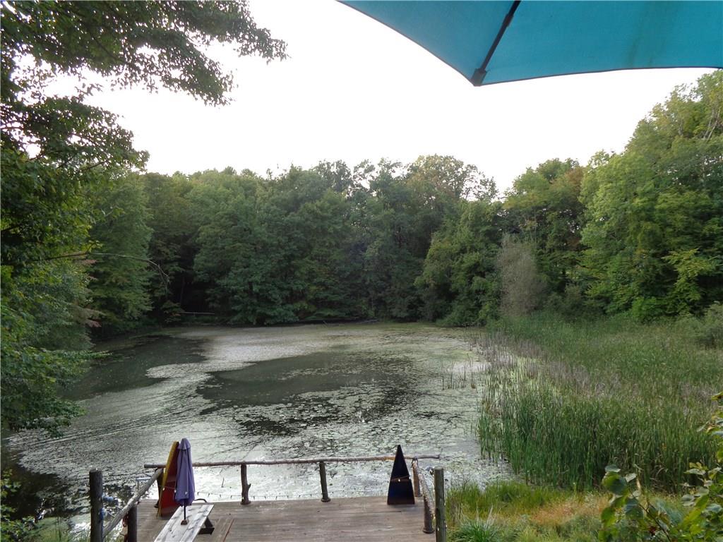1047 Springfield Road Mercer, PA 16127 - Photo 21 of 25 your own private fishing hole