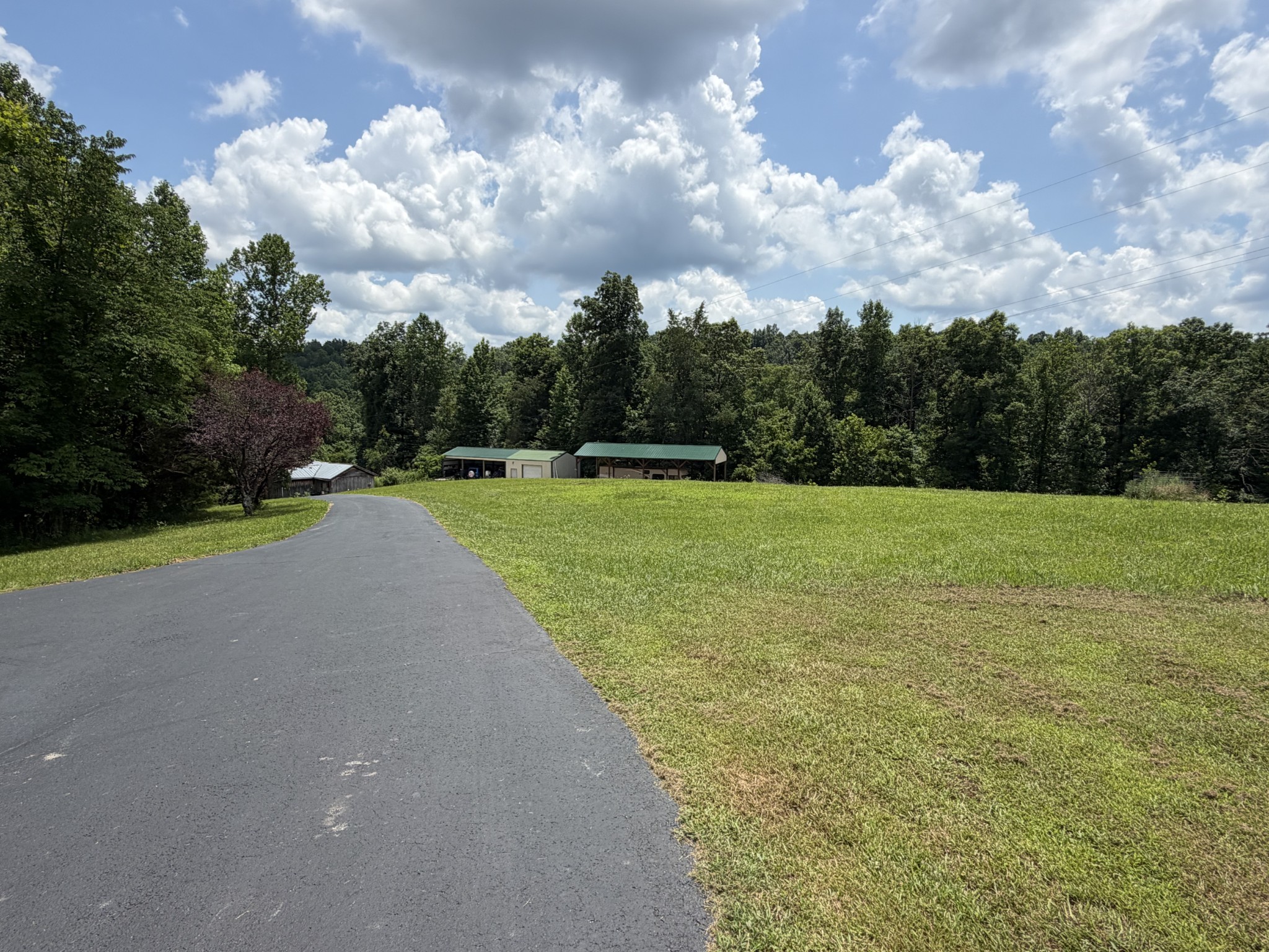 232 Cane Creek Road Hohenwald, TN 38462 - Photo 67 of 91