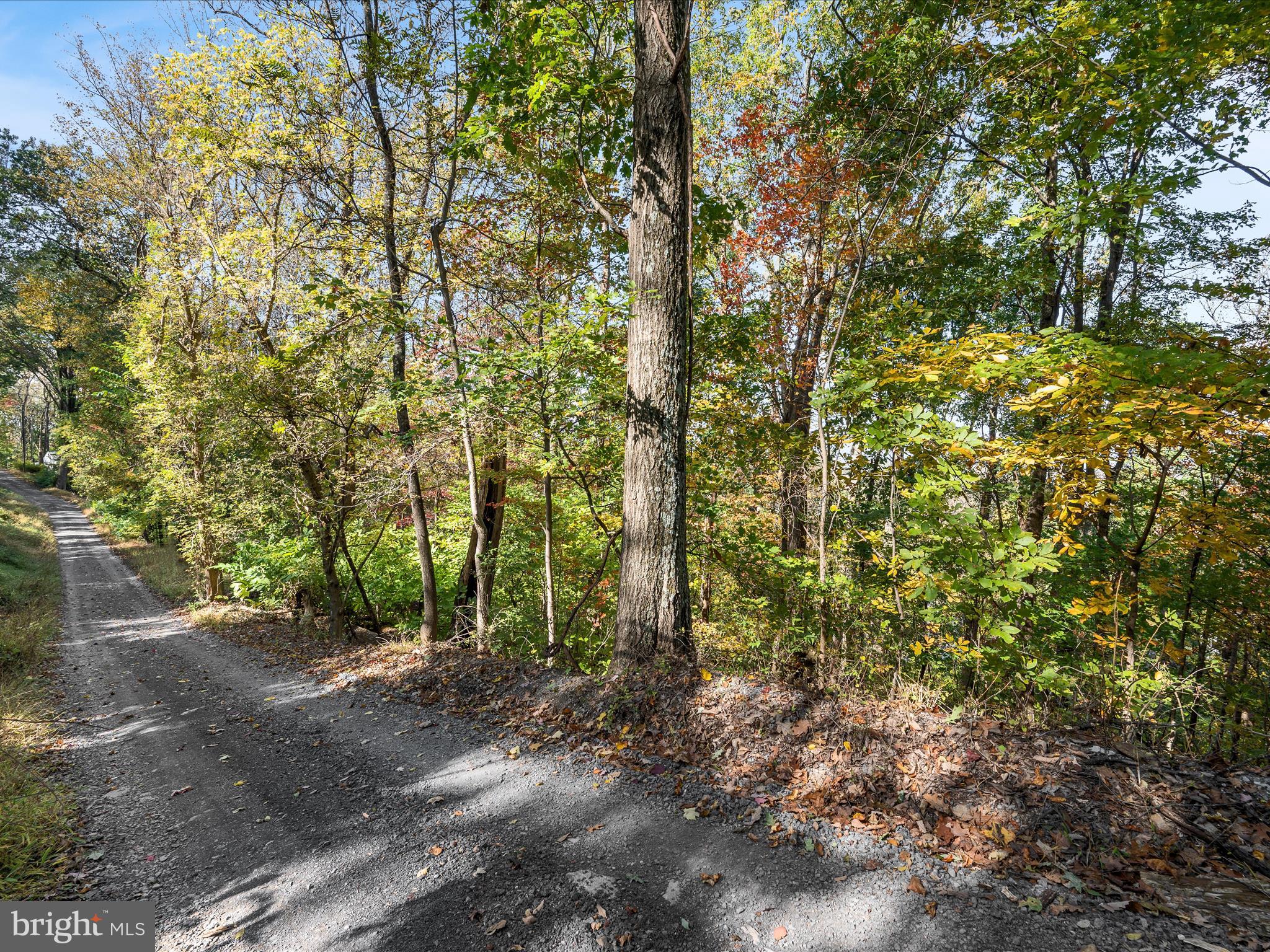 2-3 Wolfe Hill Road Harpers Ferry, WV 25425 - Photo 3 of 12 Lot Landscape
