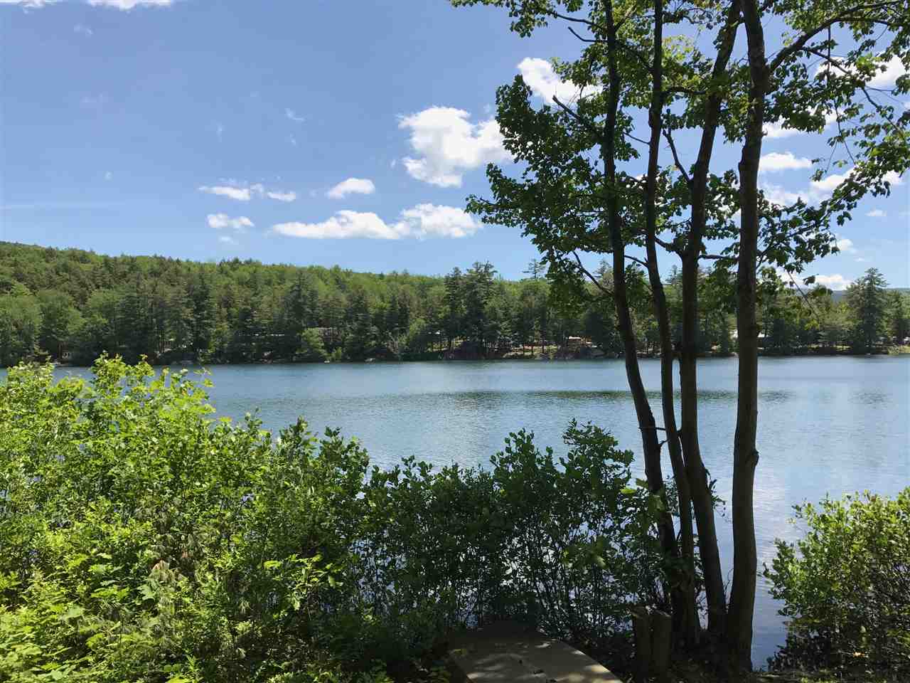 166 Rand Pond Road Goshen, NH 03752 - Photo 1 of 5