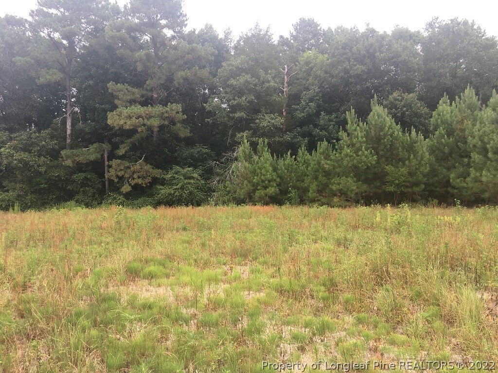 1294 L Cooper Road Cameron, NC 28326 - Photo 3 of 13 a view of a yard