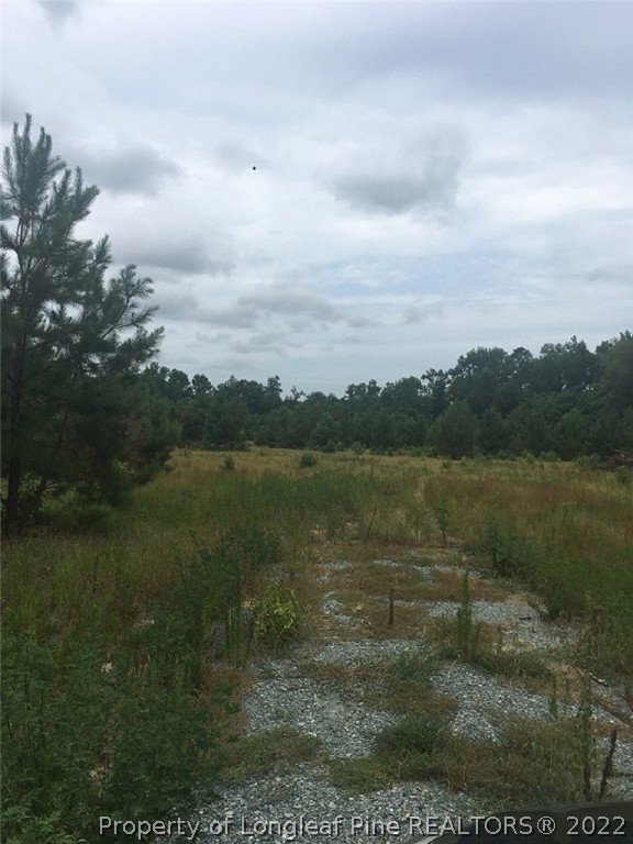 1294 L Cooper Road Cameron, NC 28326 - Photo 5 of 13 a view of a lake view