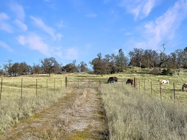 an aerial view of forest