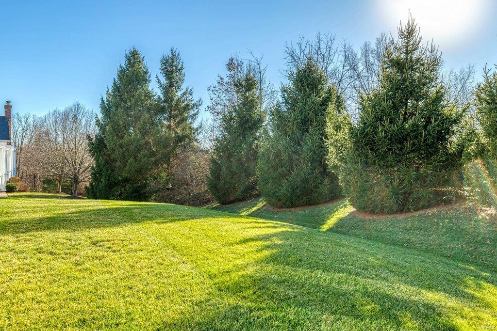 1223 Grey Fox Run Weldon Spring, MO 63304 - Photo 41 of 49 Gallery Image 41