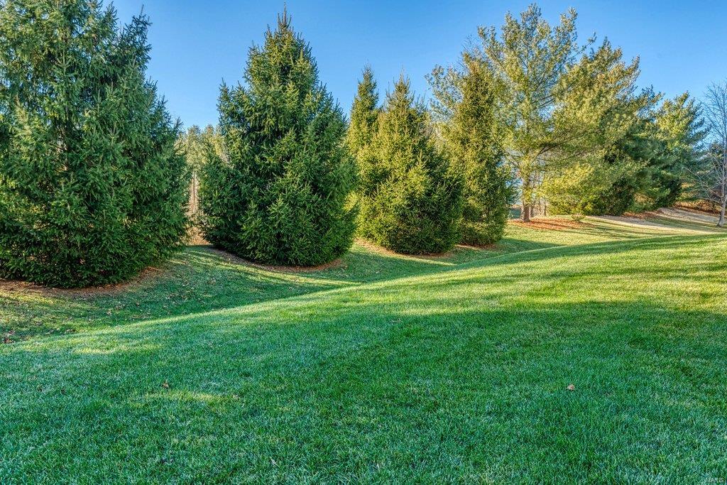 1223 Grey Fox Run Weldon Spring, MO 63304 - Photo 42 of 49 Gallery Image 42