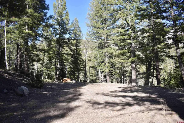 a view of outdoor space with trees