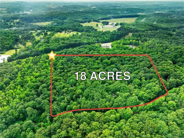 a view of a bunch of trees and bushes