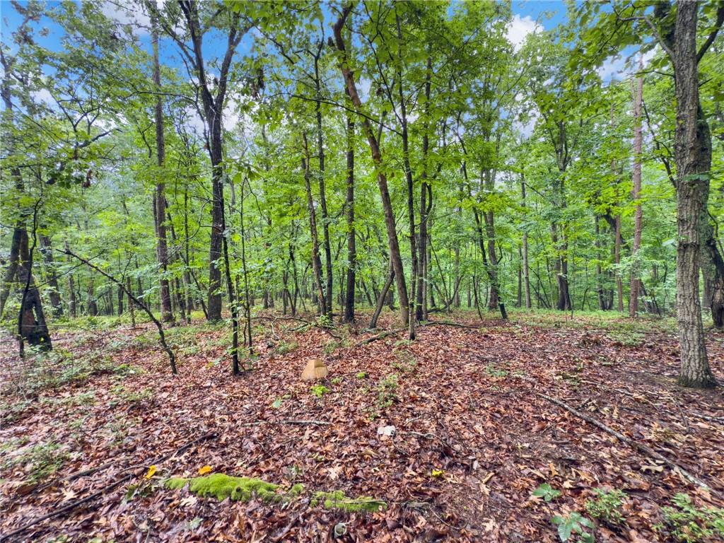 6 Cooper Bridge Road Gainesville, GA 30507 - Photo 12 of 20 a view of outdoor space with trees