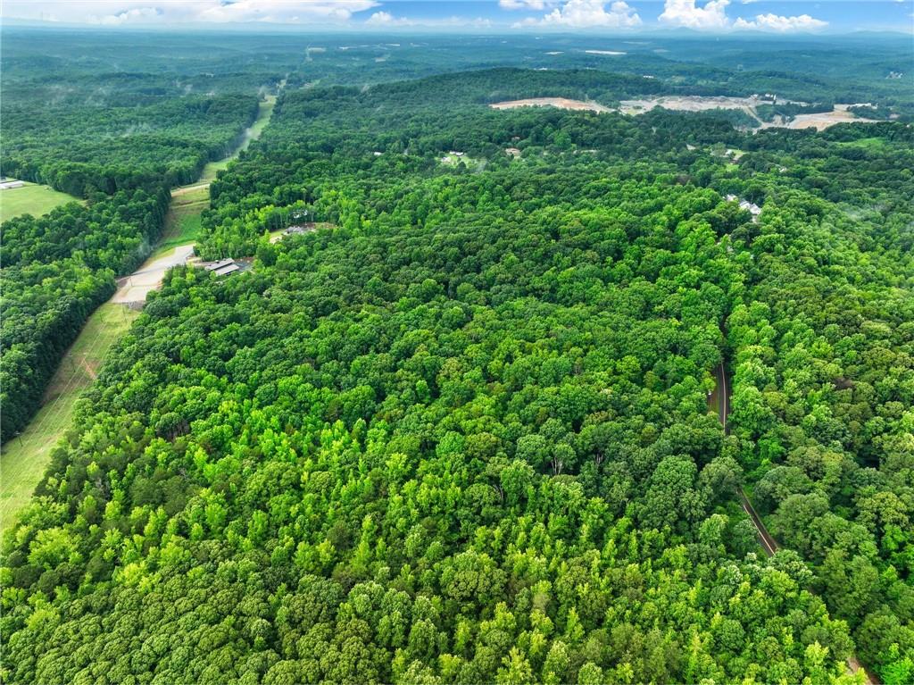6 Cooper Bridge Road Gainesville, GA 30507 - Photo 19 of 20 a view of a lush green outdoor space with a lake view