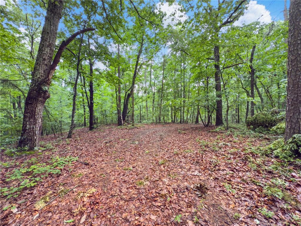 6 Cooper Bridge Road Gainesville, GA 30507 - Photo 10 of 20 a view of outdoor space and trees