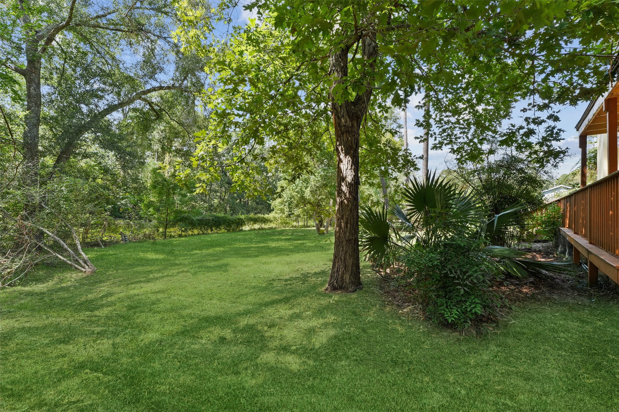 25811 Timber Lakes Drive Spring, TX 77380 - Photo 24 of 26