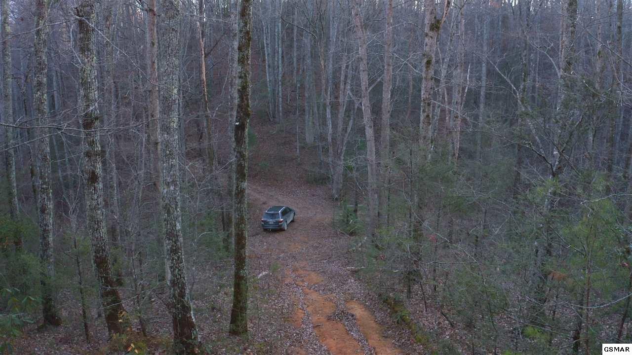314 Hickey Road Sevierville, TN 37876 - Photo 8 of 36