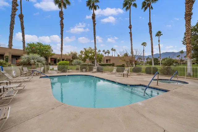 a view of a swimming pool with a lawn chairs and palm tree