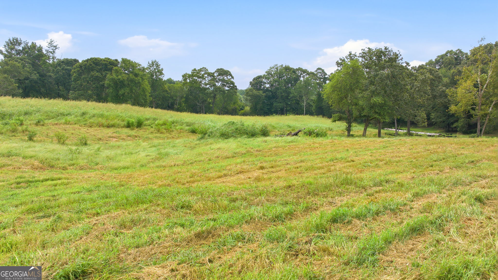 269 Garrison Shoals Road Lula, GA 30554 - Photo 8 of 39 Gallery Image 8