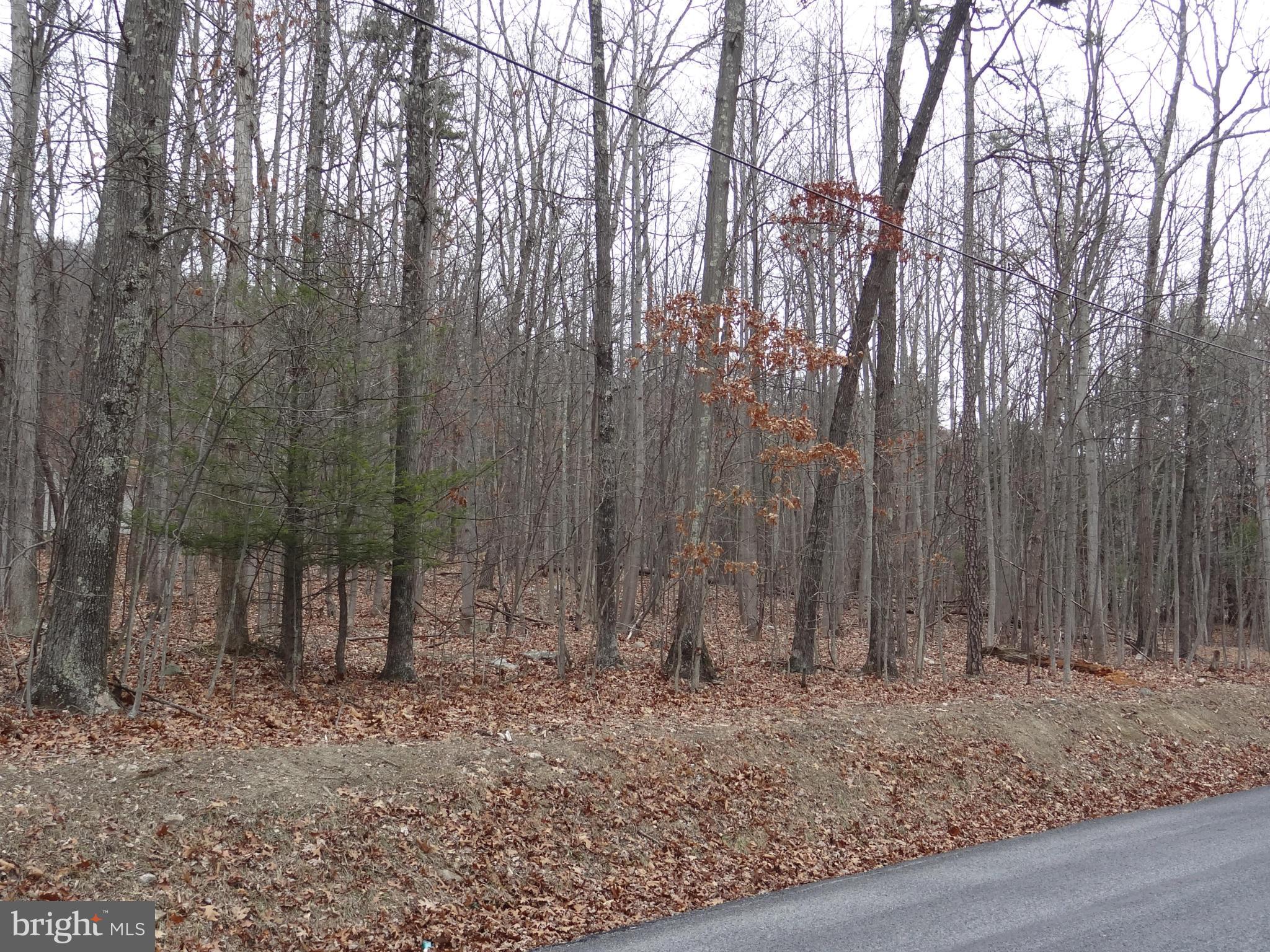 0 Cresap Mill Road Southeast Oldtown, MD 21555 - Photo 1 of 11 Exterior (Front)