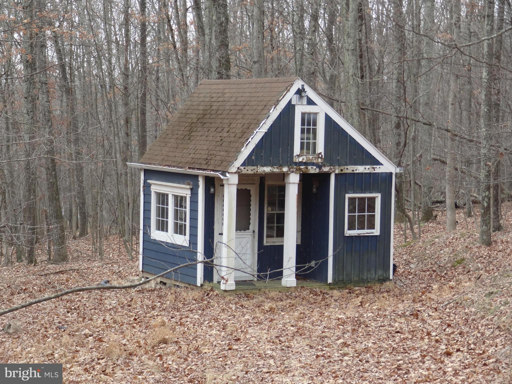 0 Cresap Mill Road Southeast Oldtown, MD 21555 - Photo 3 of 11 Exterior (General)