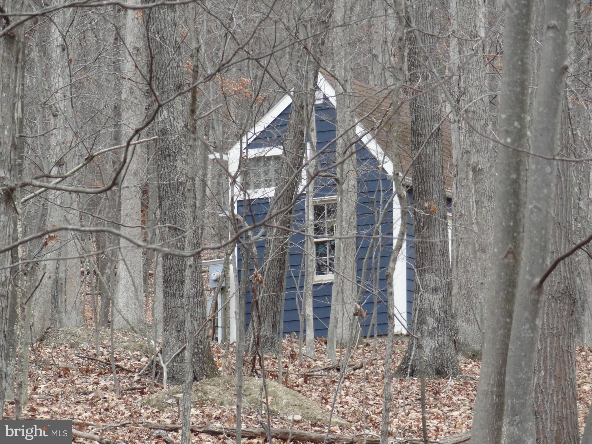 0 Cresap Mill Road Southeast Oldtown, MD 21555 - Photo 5 of 11 Exterior (Front)