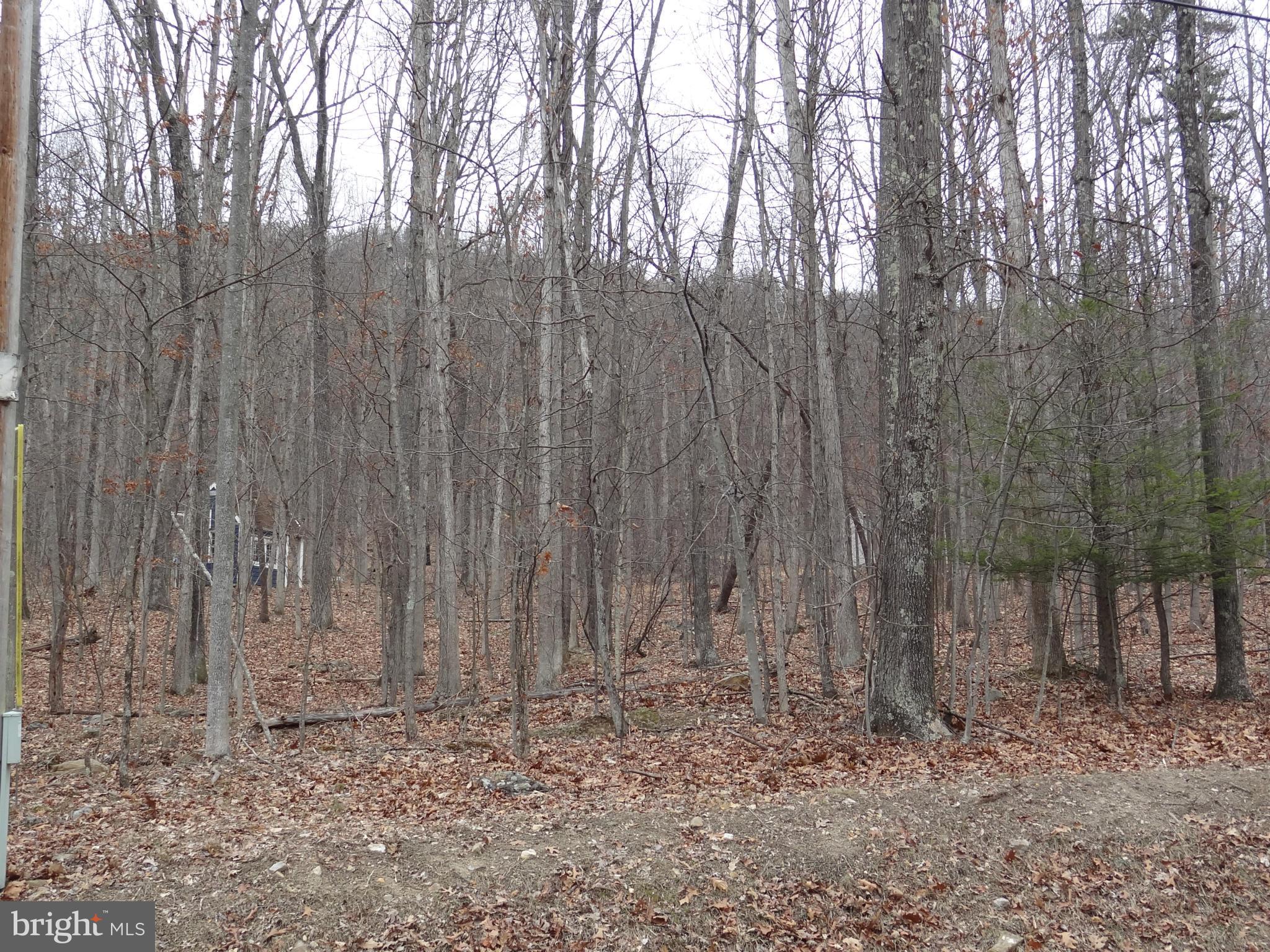 0 Cresap Mill Road Southeast Oldtown, MD 21555 - Photo 10 of 11 Exterior (General)