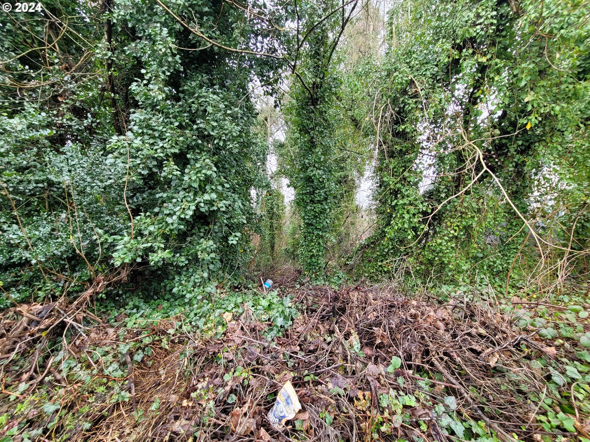 0 Northeast Cherry Road Vancouver, WA 98663 - Photo 12 of 14