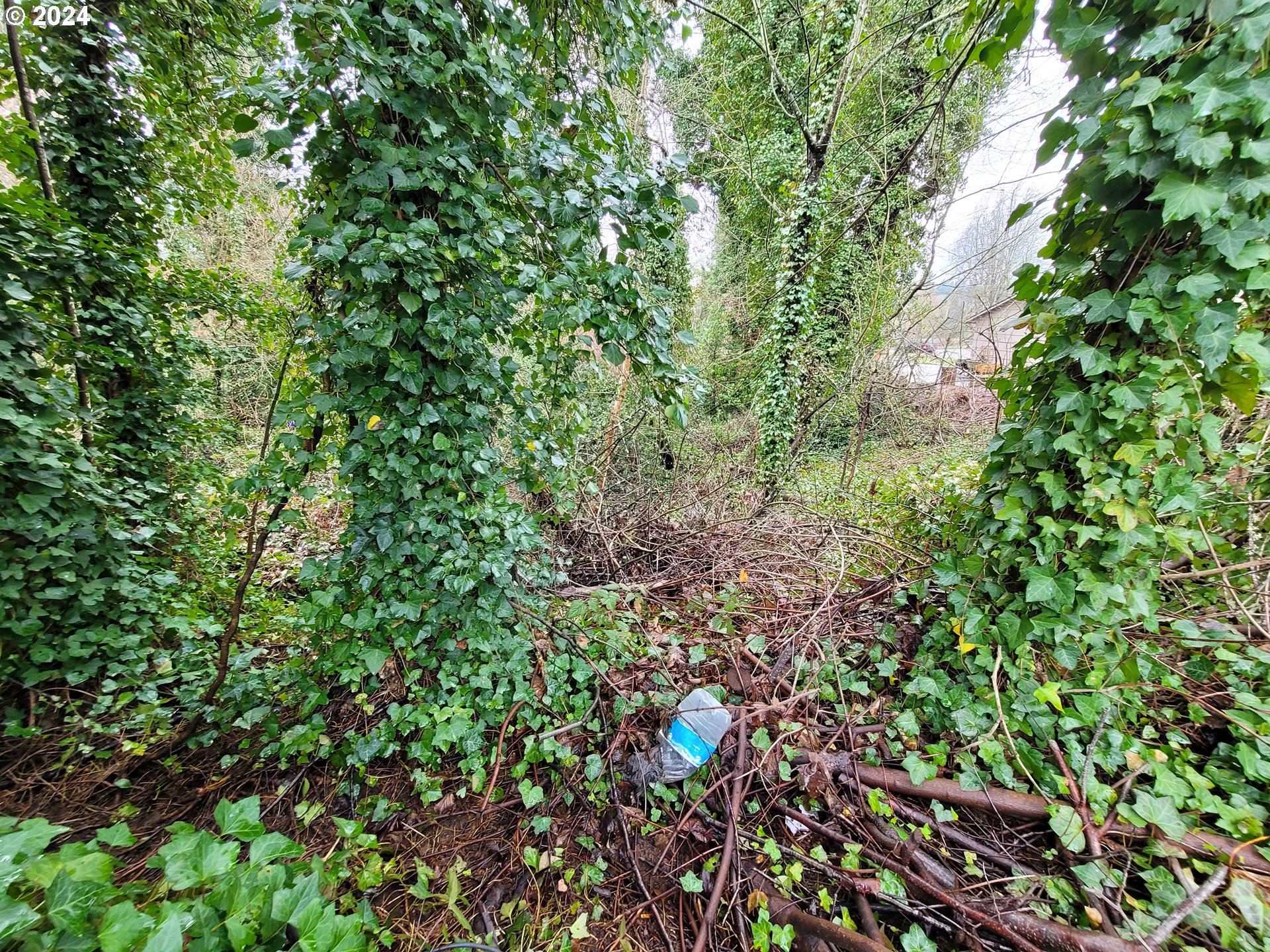 0 Northeast Cherry Road Vancouver, WA 98663 - Photo 13 of 14