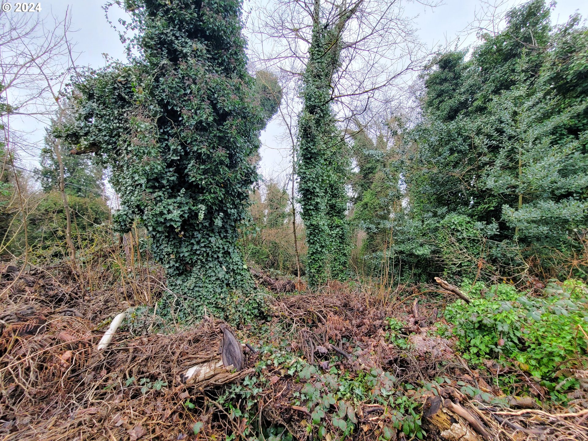 0 Northeast Cherry Road Vancouver, WA 98663 - Photo 10 of 14