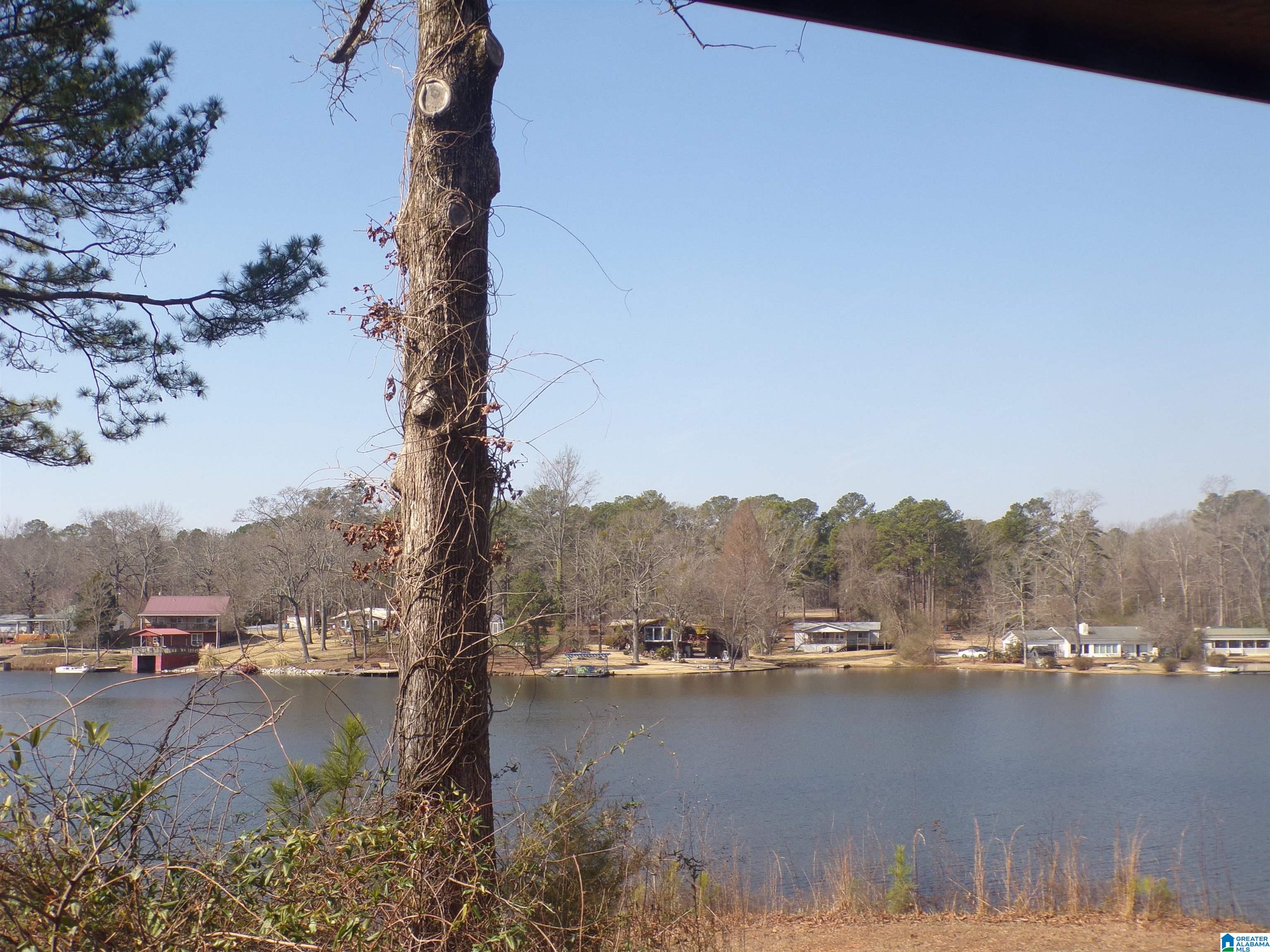875 Lake Tate Road Sylacauga, AL 35151 - Photo 16 of 21