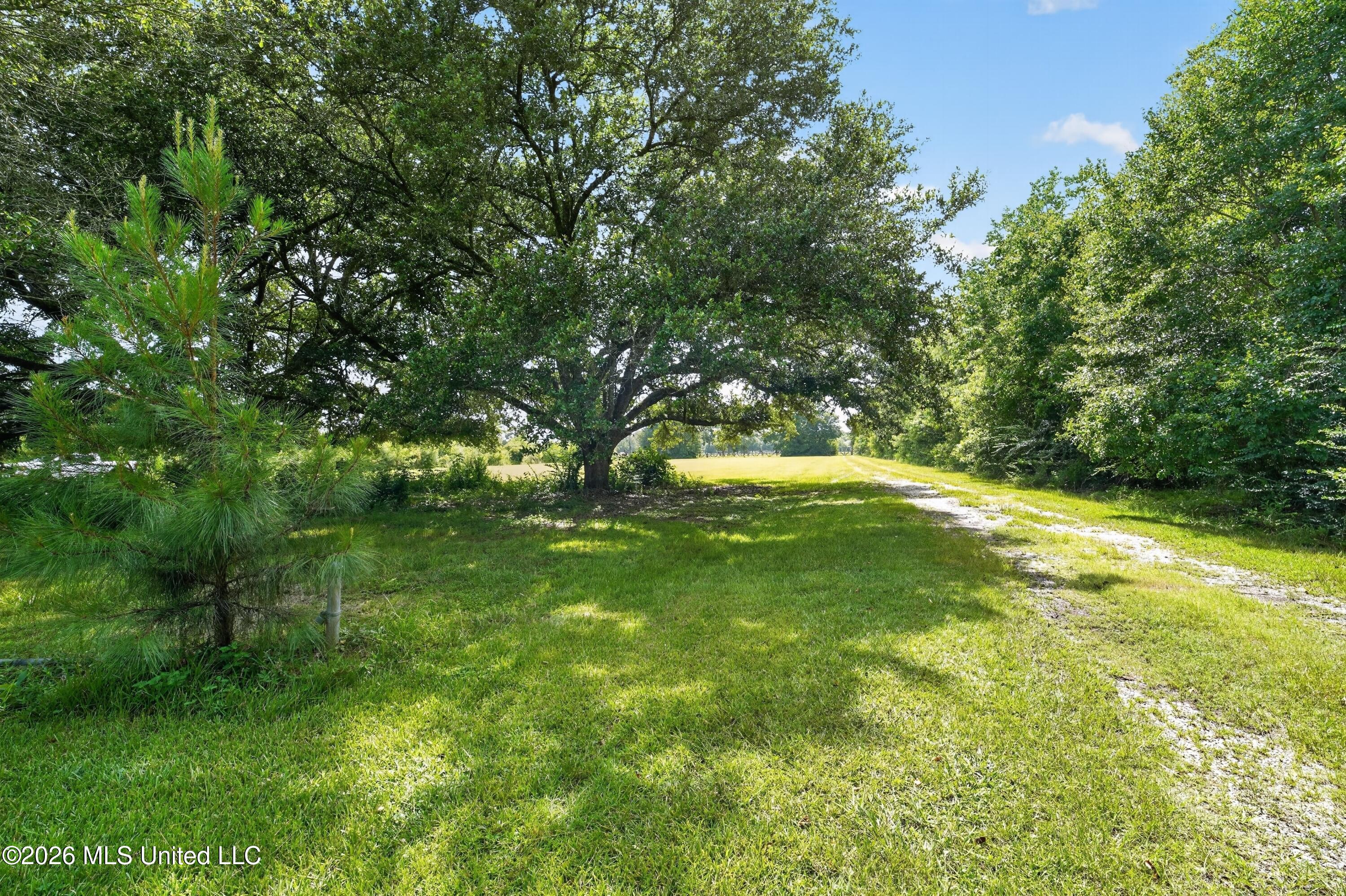 168 Davis Road Picayune, MS 39466 - Photo 7 of 73 11_168_Davis_Rd-Exterior-9248