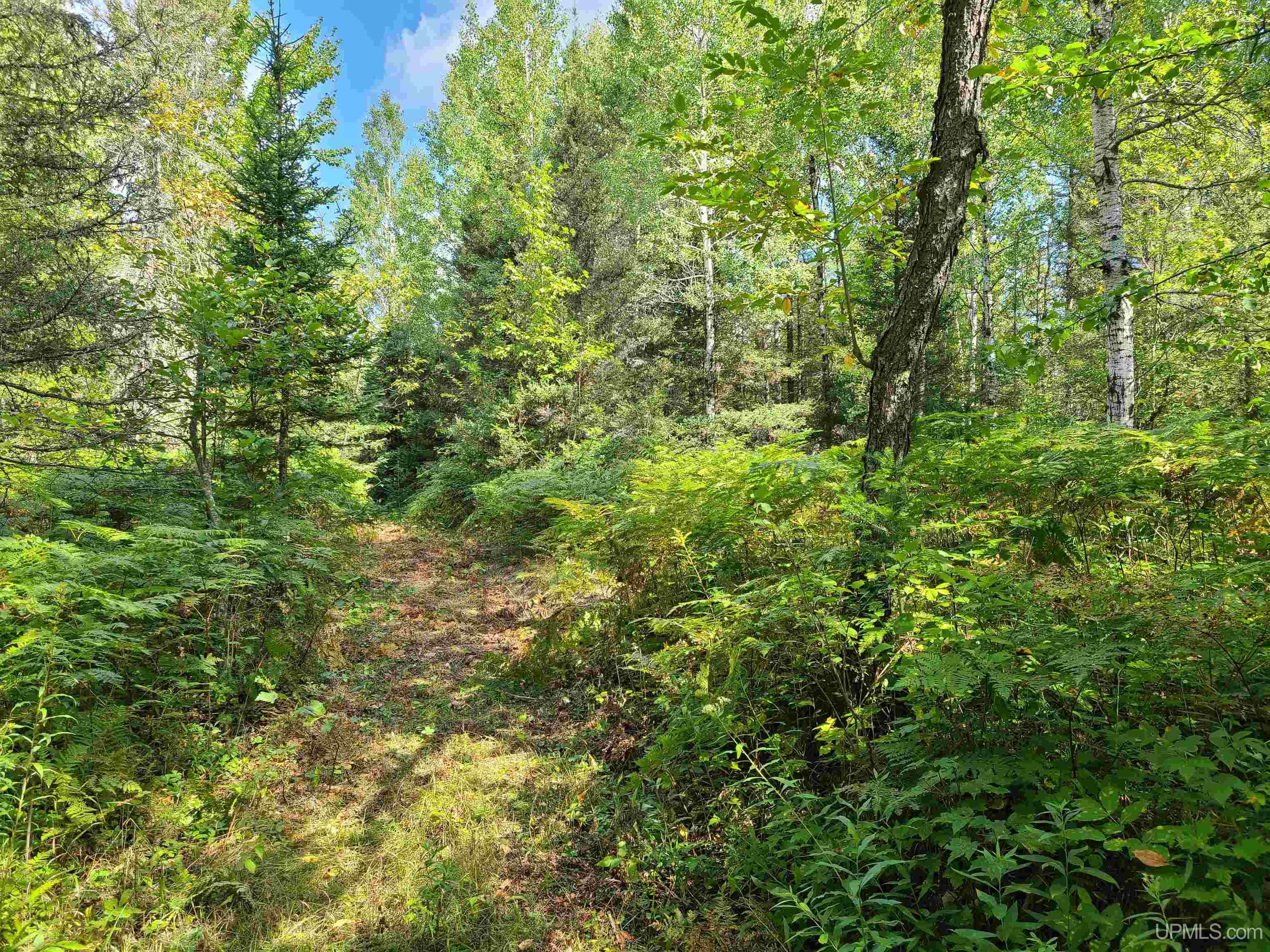 W1322 Co Road Felch, MI 49831 - Photo 10 of 17
