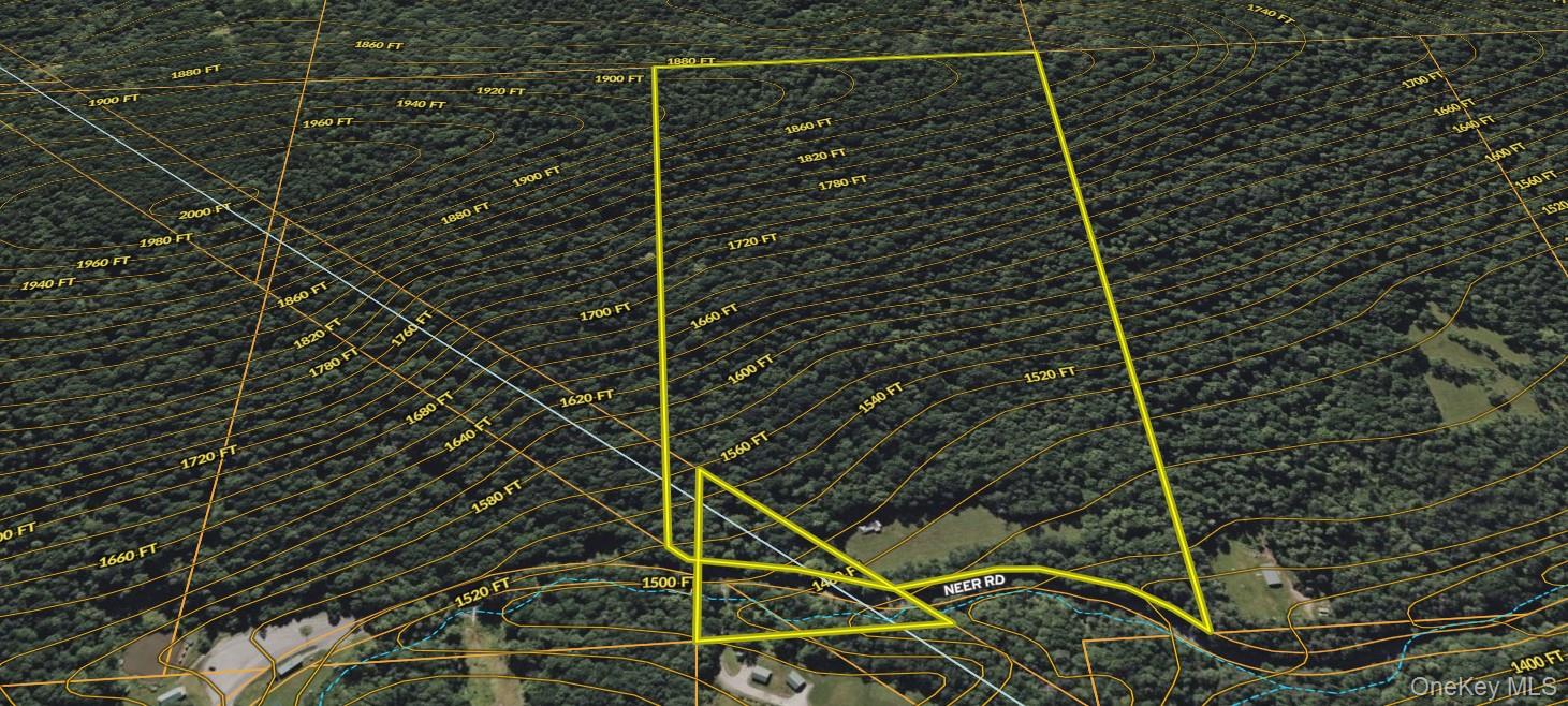 216 Neer Road Long Eddy, NY 12760 - Photo 47 of 48