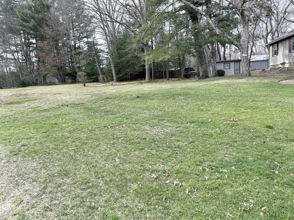 89 Jackson Drive Raynham, MA 02767 - Photo 7 of 30 a tall tree in middle of a field