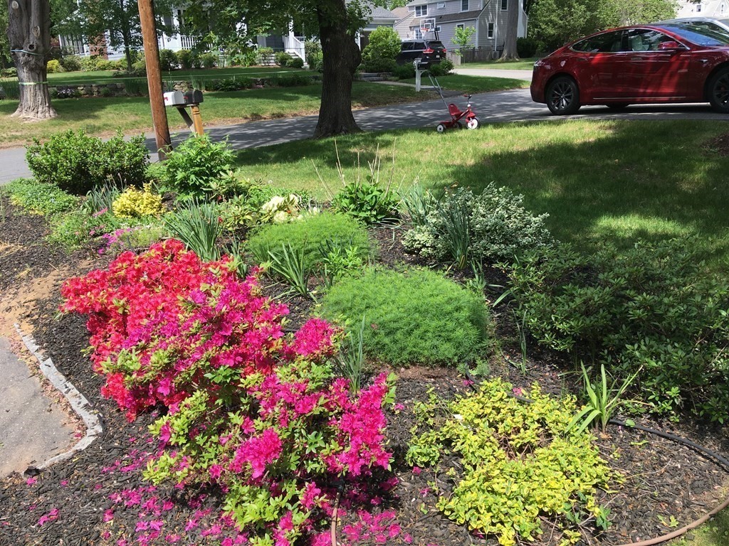 59 Pilgrim Road Concord, MA 01742 - Photo 19 of 21 Gallery Image 19