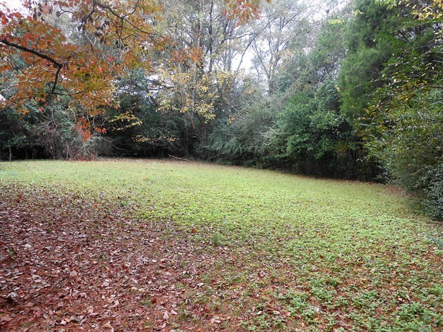 254 Decatur Avenue Macon, GA 31217 - Photo 8 of 8 Additional Photo