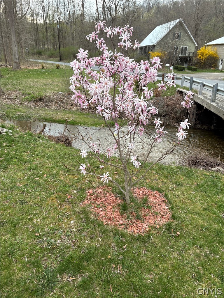 77 Shelter Valley Road Newfield, NY 14867 - Photo 6 of 37