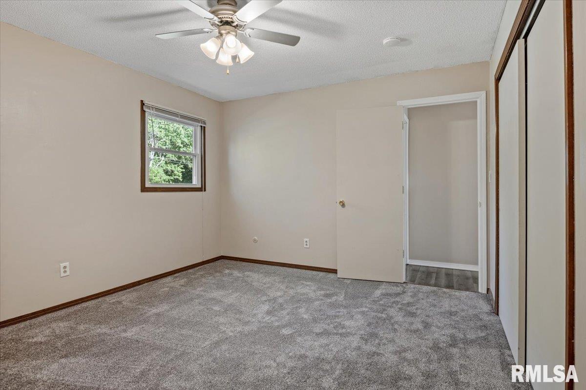 321 Park Street Rochester, IL 62563 - Photo 18 of 35 Gallery Image 18
