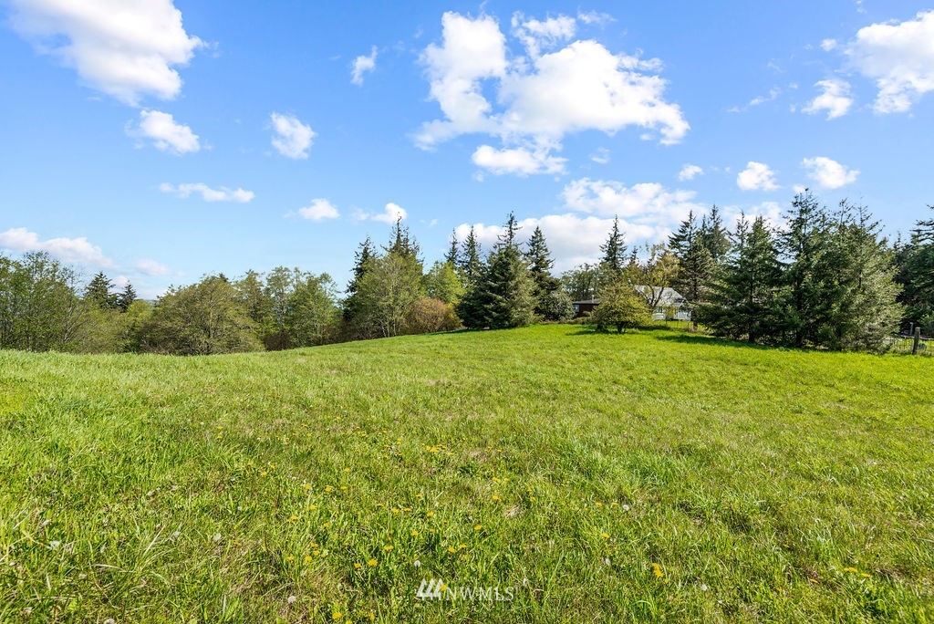 2406 Mt Pleasant Road Kelso, WA 98626 - Photo 29 of 33 Gallery Image 29